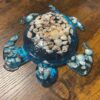 Blue sea turtle with sea shells